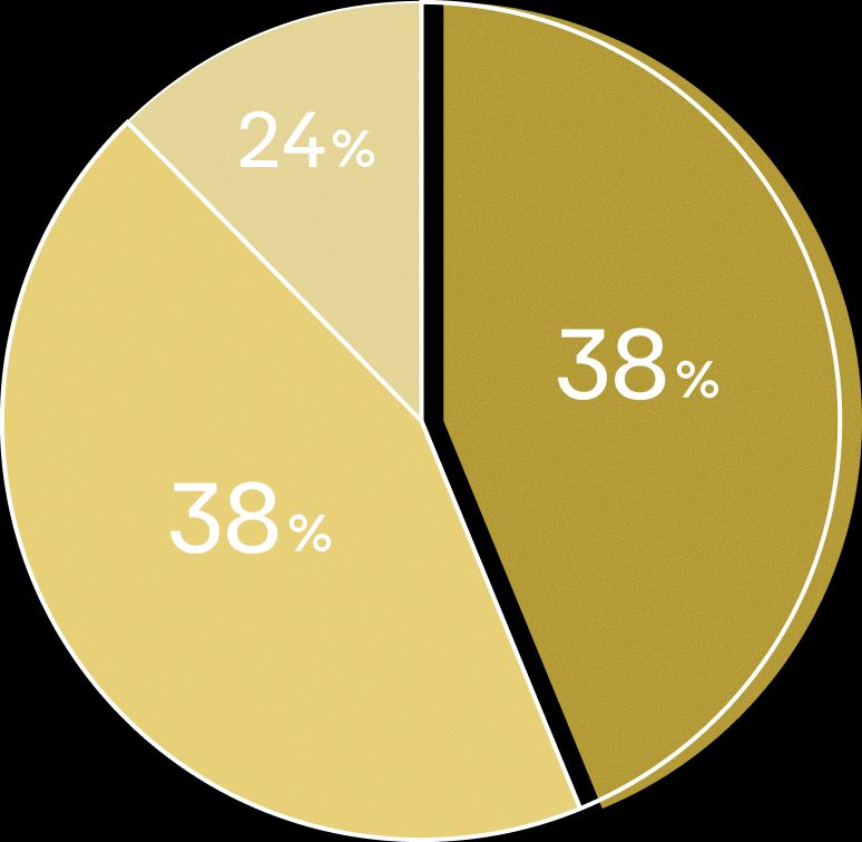 50代〜60代は38%、30代〜40代は38%、10代〜20代は24%